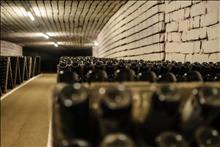 Подземный город – Винодельня Крикова с дегустацией вин