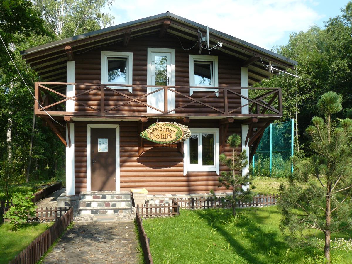 Березовая роща Стреково