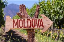Все краски и вина Молдовы